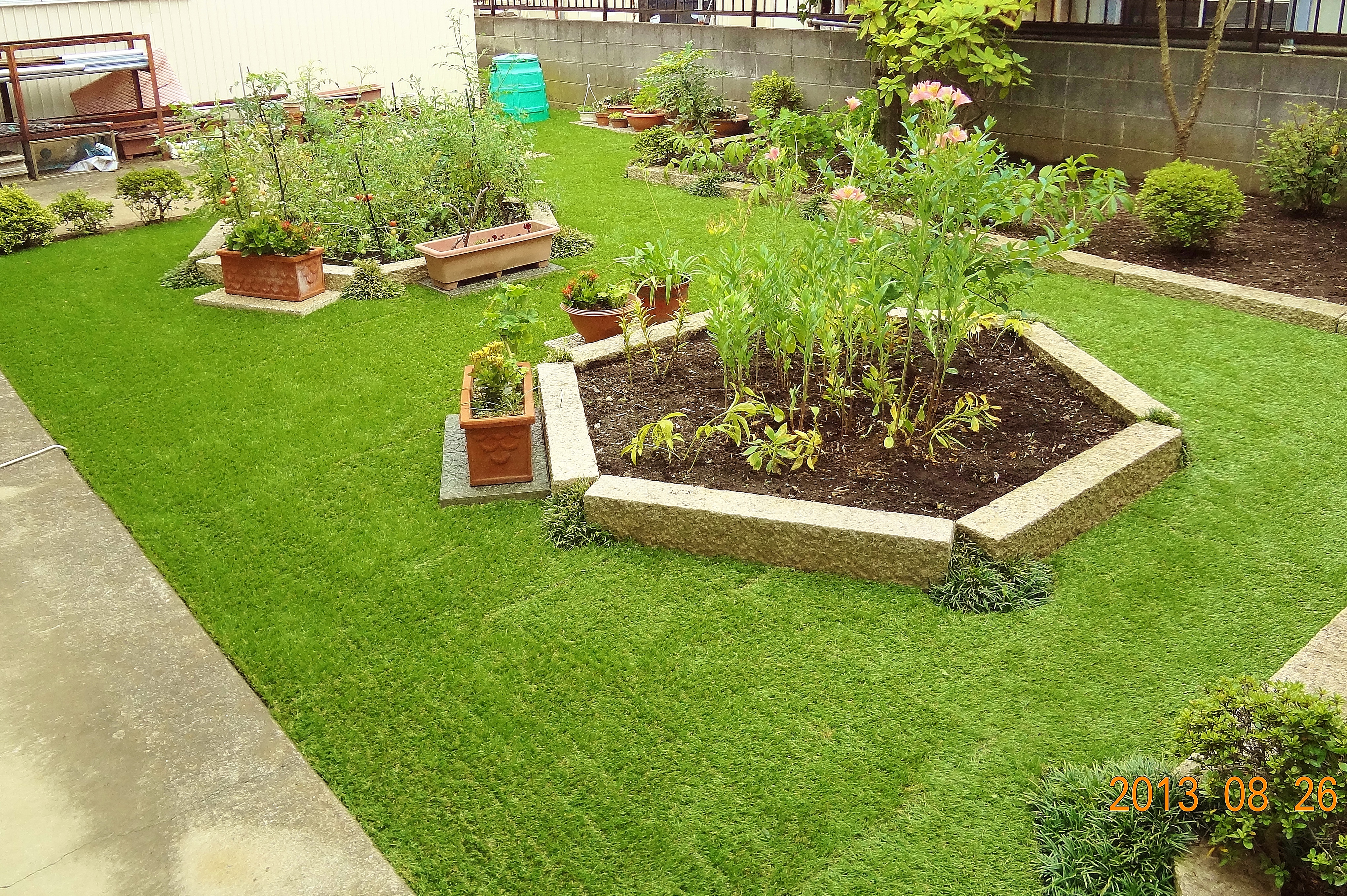 庭工事 レンガアプローチ 花壇 芝 施工前 越谷 吉川 松伏のガーデニング 河合造園 越谷市 エクステリア チイコミ