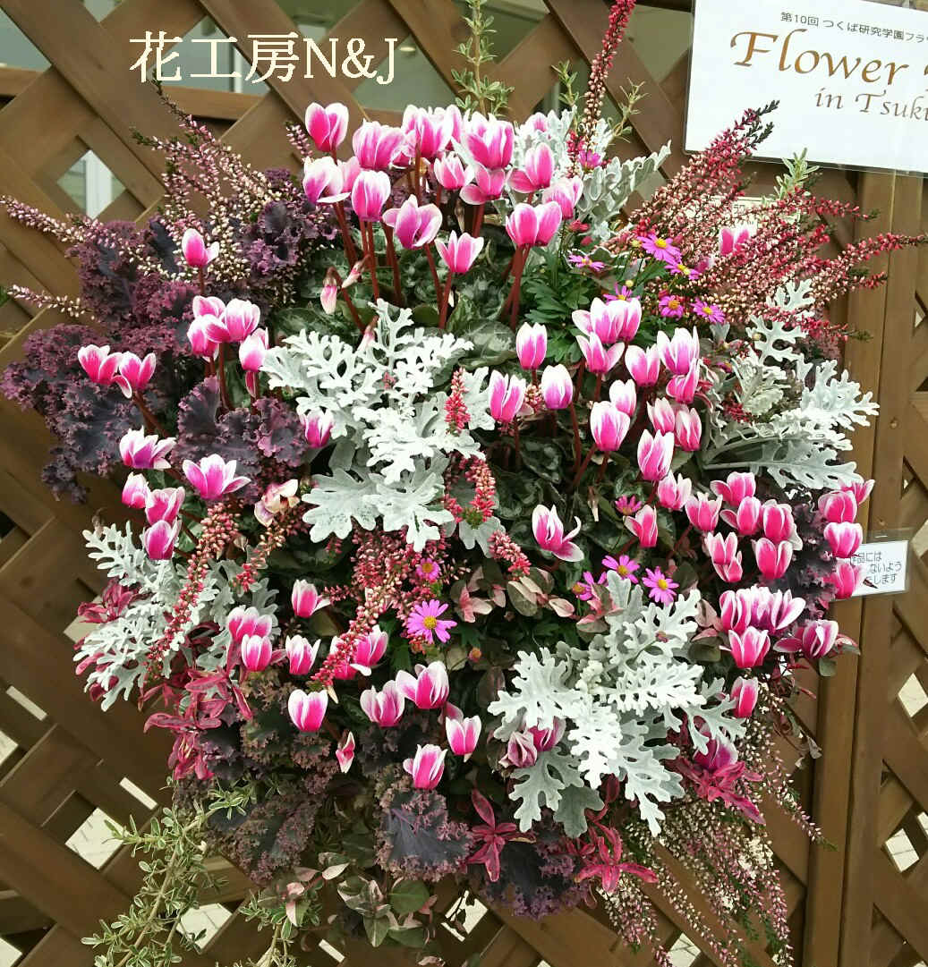 千葉県佐倉市 フラワーアレンジメント 寄せ植え ガーデニング教室 花工房ｎ ｊ